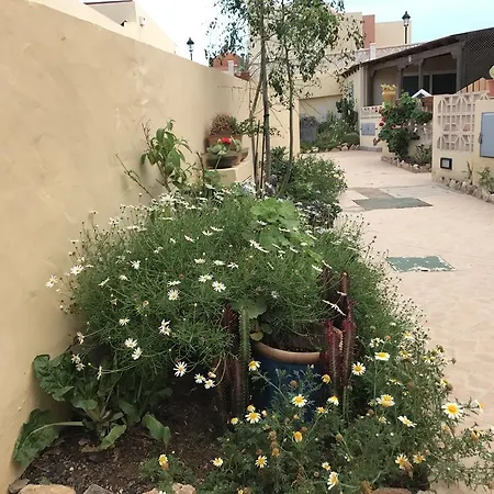 Holiday home Alaia Pajara (Fuerteventura)